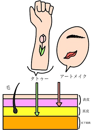 タトゥー（刺青）とアートメイクの違い